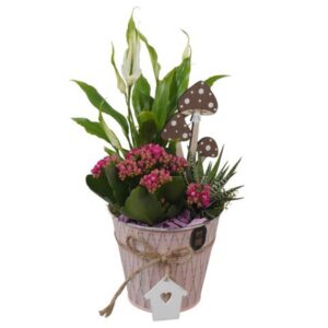 Arrangement kamer PTHI3414 Arrangement Autumn Indoor in metalen Pot
(6 Plants/Order)(12cmP 31cmH)