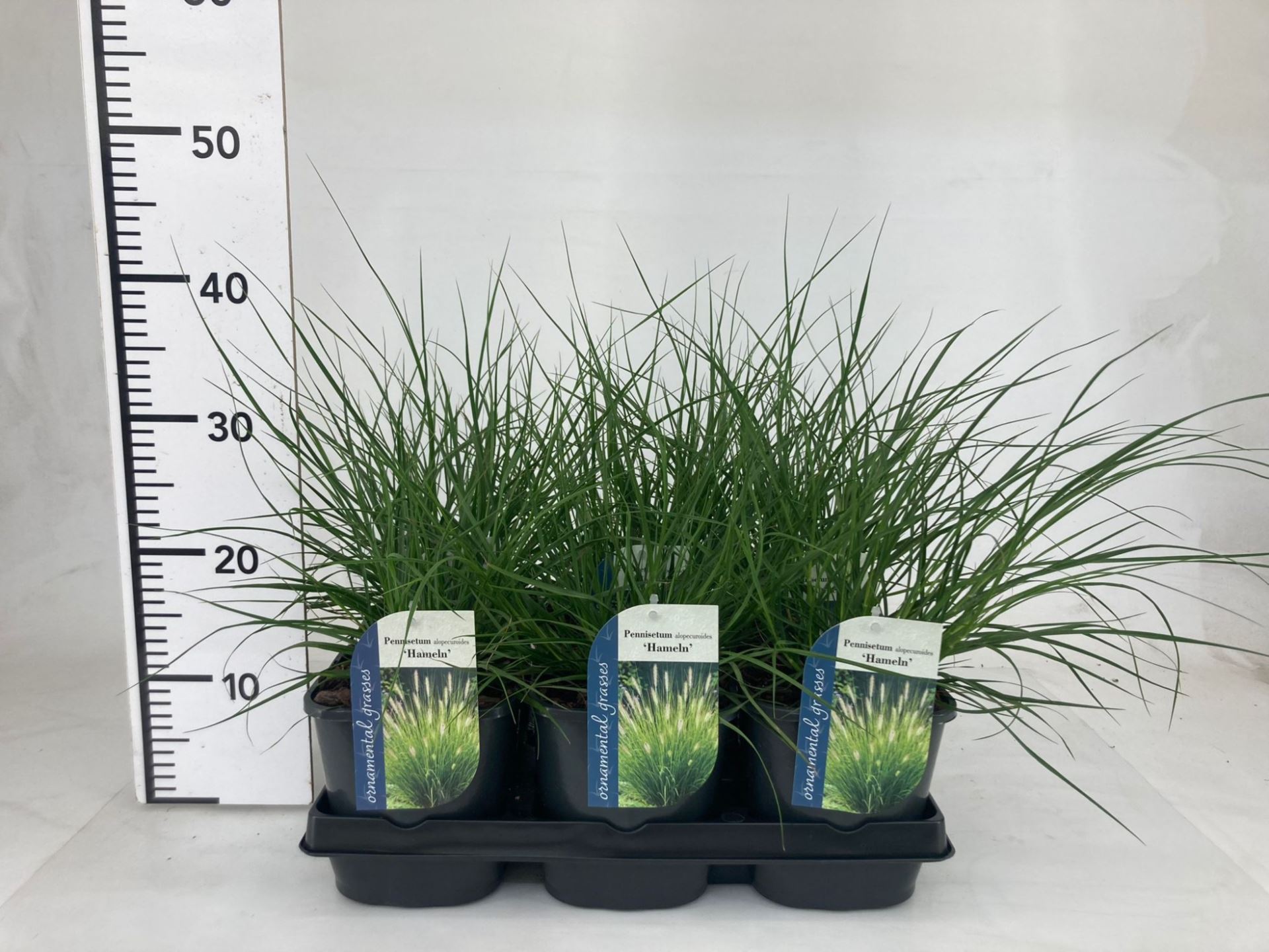 635d5ff3-7661-46f3-a9e3-179884f04f9f.jpg