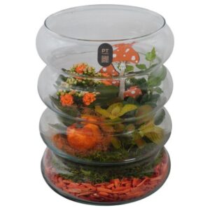 Arrangement kamer PTHG8271 Arrangement Autumn Glass in glazen vaas
(3 Plants/Order)(19cmP 25cmH)