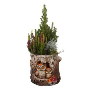 Arrangementen Garden plants PTHO7728 Arrangement Autumn Outdoor in magnesia Pot
(1 Plants/Order)(23cmP 55cmH)