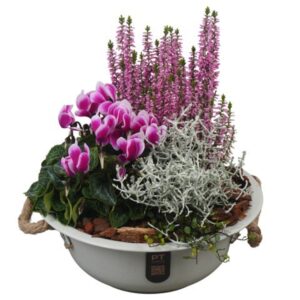 Arrangementen PTHO7576 Arrangement Autumn Outdoor in metalen schaal
(1 Plants/Order)(24cmP 28cmH)