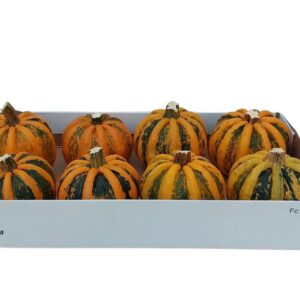 Curcubita Kamo-Kamo *8
(8 Plants/Order)(12cmP cmH)