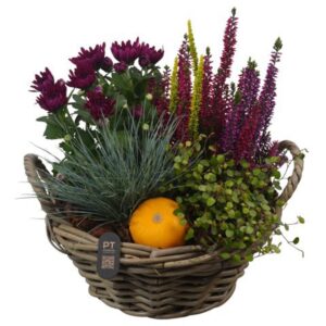 Arrangementen Garden plants PTHO7508 Arrangement Autumn Outdoor in rieten mand
(1 Plants/Order)(30cmP 35cmH)