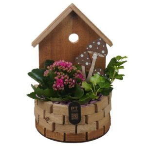 Arrangement kamer PTHI3338 Arrangement Autumn Indoor in houten vogelhuis
(5 Plants/Order)(17cmP 26cmH)