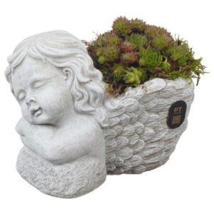 Arrangement PTAH3006 Arrangement All Saints in beton Pot
(4 Plants/Order)(19cmP 13cmH)