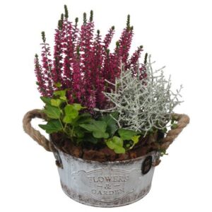 Arrangementen PTHO7595 Arrangement Autumn Outdoor in metalen Pot
(6 Plants/Order)(16cmP 26cmH)