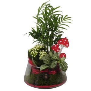 Arrangement kamer PTHG8240 Arrangement Autumn Glass in Glas schaal
(4 Plants/Order)(18cmP 33cmH)