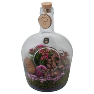 Indoor plants PTHG8299 Arrangement Autumn Glass in glazen fles
(3 Plants/Order)(18cmP 33cmH)