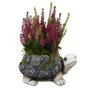 Arrangementen PTHO7718 Arrangement Autumn Outdoor in beton Pot
(3 Plants/Order)(21cmP 27cmH)