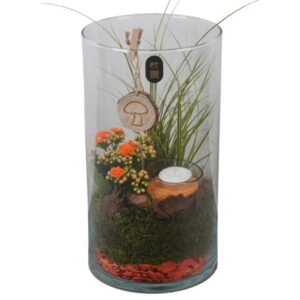 Arrangement kamer PTHG8272 Arrangement Autumn Glass in glazen vaas
(5 Plants/Order)(16cmP 32cmH)