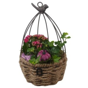 Arrangement kamer PTHI3351 Arrangement Autumn Indoor in touwmand met metaal
(4 Plants/Order)(16cmP 30cmH)