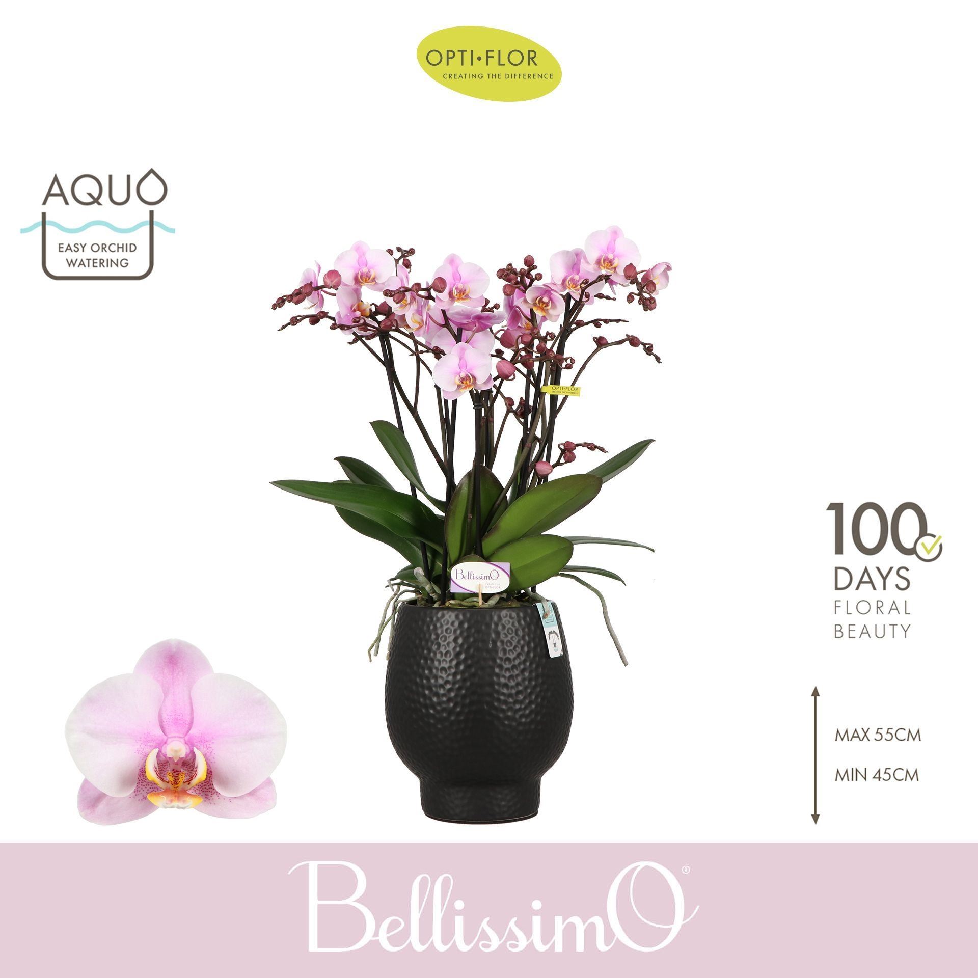 ad8063c4-bb5b-486a-9092-274e42ee48a4.jpg