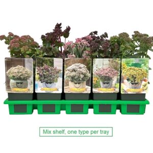Sedum mix laag P11
(10 Plants/Order)(11cmP 25cmH)