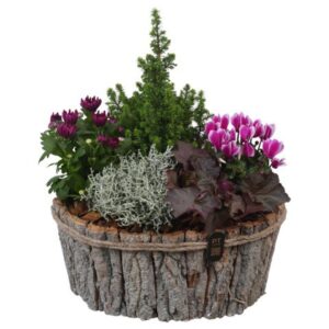 Arrangementen Garden plants PTHO7668 Arrangement Autumn Outdoor in houten bak ovaal
(1 Plants/Order)(36cmP 46cmH)