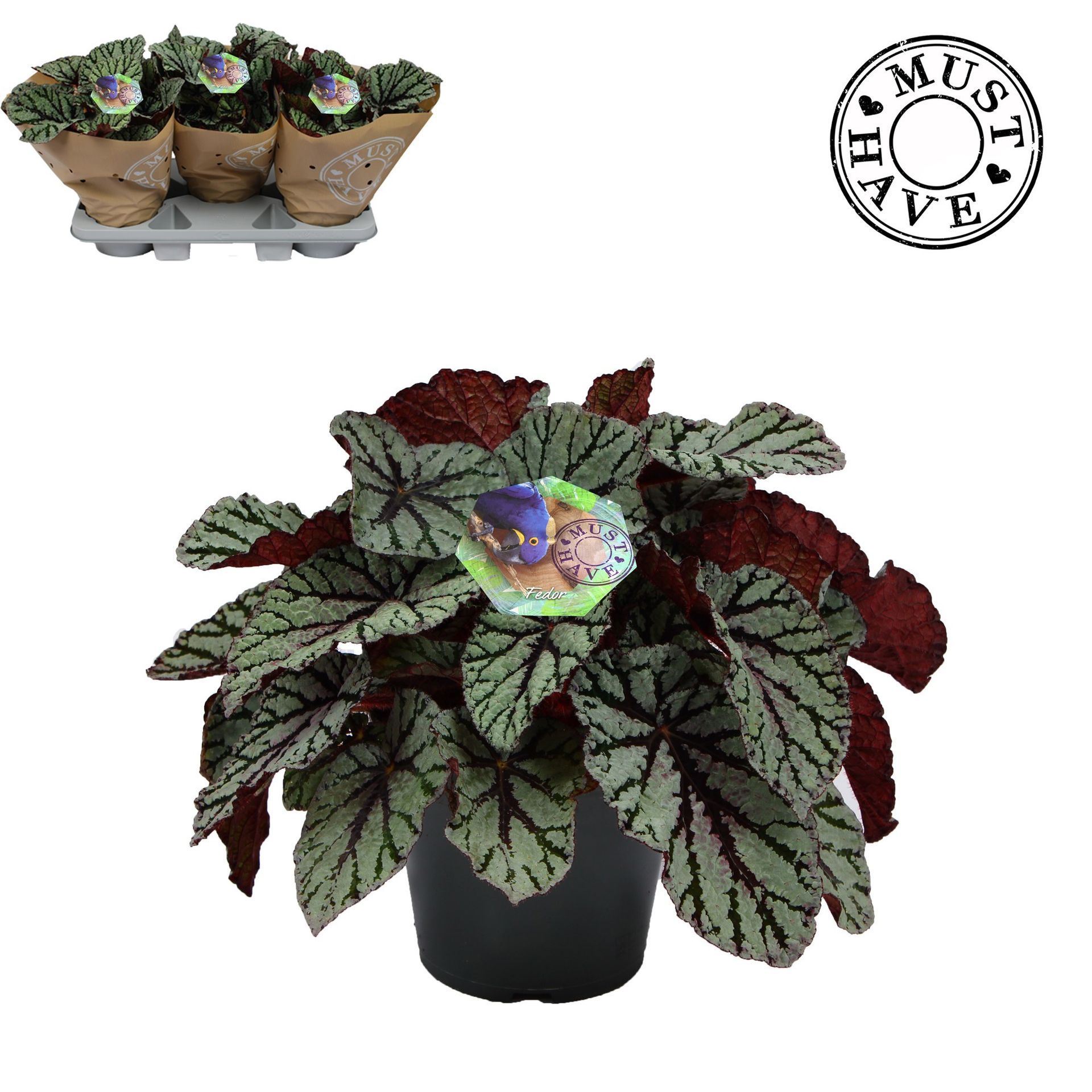 cbd2ee69-c8d0-403f-b539-f9bd4e07eb31.jpg