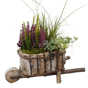 Arrangementen PTHO7726 Arrangement Autumn Outdoor in houten Pot
(1 Plants/Order)(38cmP 43cmH)