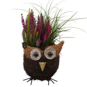 Arrangementen PTHO7636 Arrangement Autumn Outdoor in rieten mand in uil vorm
(4 Plants/Order)(17cmP 38cmH)
