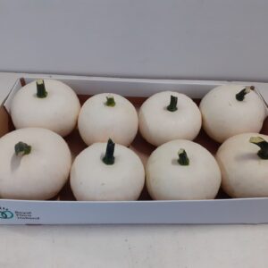 Curcubita Boo Snowball
(8 Plants/Order)(cmP cmH)