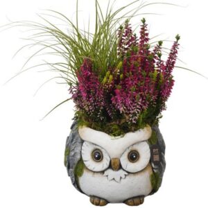 Arrangementen PTHO7717 Arrangement Autumn Outdoor in beton Pot
(6 Plants/Order)(16cmP 30cmH)