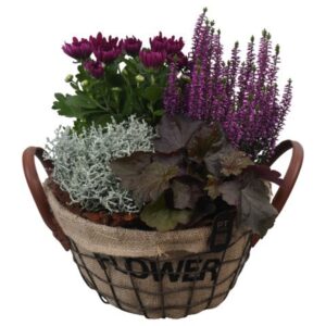 Arrangementen Garden plants PTHO7650 Arrangement Autumn Outdoor in jute mand met metaal
(1 Plants/Order)(26cmP 31cmH)